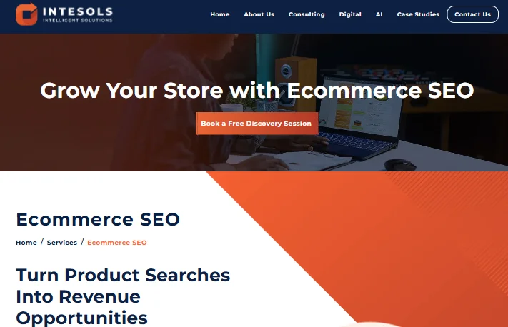 Intesols -Home-page