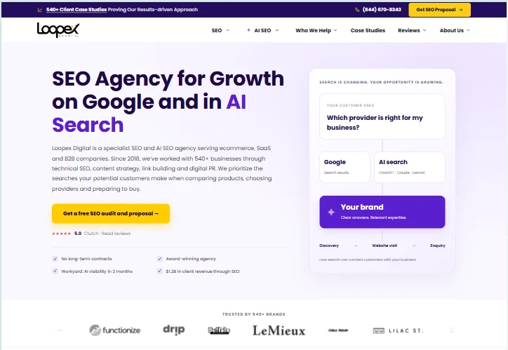 Loopex-home page